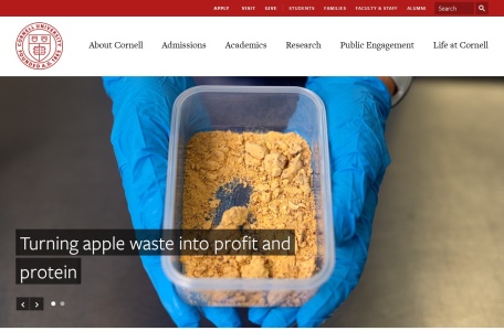 康奈尔大学（Cornell University）